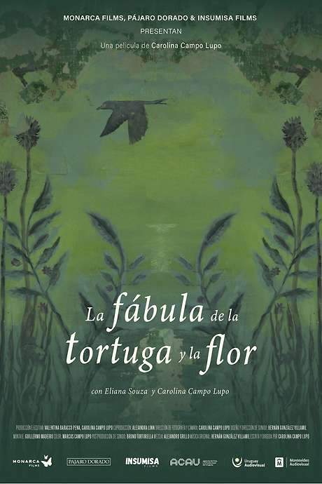 La fábula de la tortuga y la flor